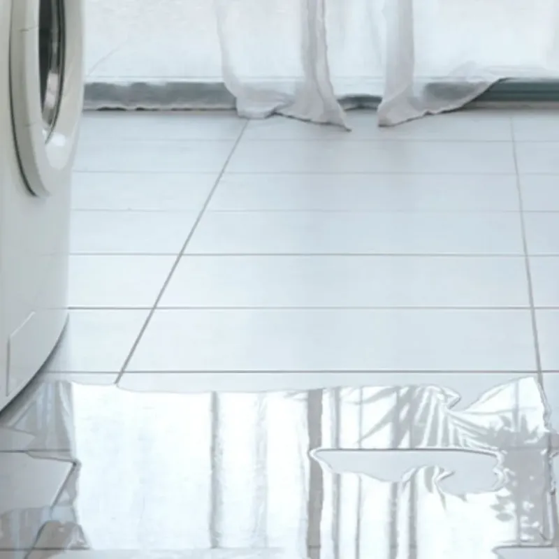 Appliance Leak Cleanup in DeRidder, LA