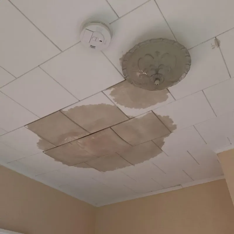 Ceiling Water Damage Repair in DeRidder, LA