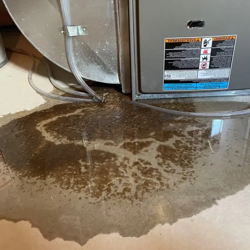 Pipe Burst and Leak Restoration in DeRidder, LA