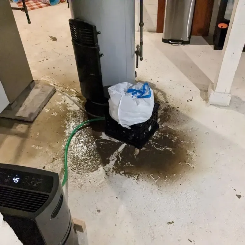 Sewage Backup Cleanup Service in DeRidder, LA